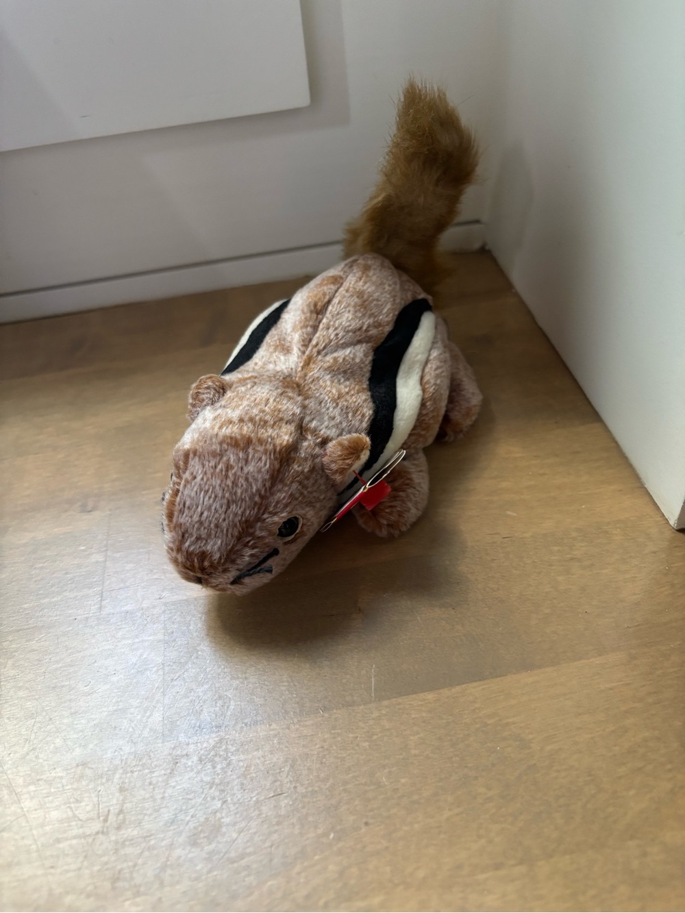 Ty beanie baby Chipper